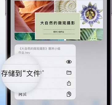 朔城apple维修中心分享iPhone文件应用中存储和找到下载文件