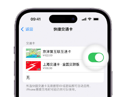 朔城apple维修点分享iPhone上更换Apple Pay快捷交通卡手绘卡面 