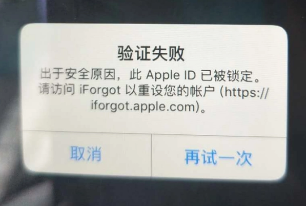 朔城iPhone维修分享iPhone上正常登录或使用AppleID怎么办 