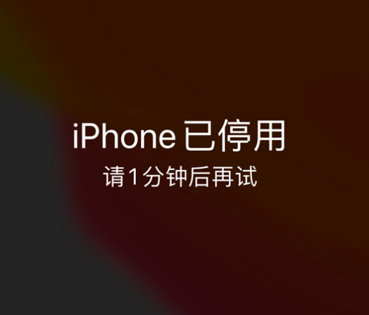 朔城苹果手机维修分享:iPhone 显示“不可用”或“已停用”怎么办？还能保留数据吗？ 