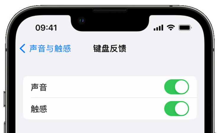 朔城苹果手机维修分享iPhone 14触感键盘使用方法 