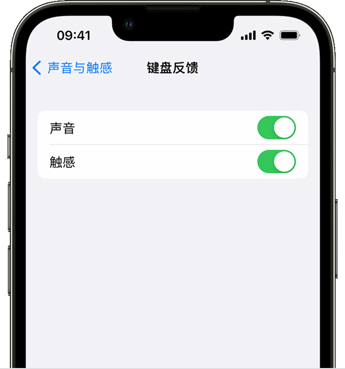 朔城苹果14维修店分享如何在 iPhone 14 机型中使用触感键盘 