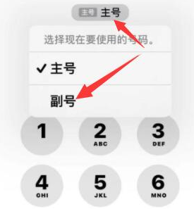 朔城苹果14维修店分享iPhone 14 Pro Max使用副卡打电话的方法 