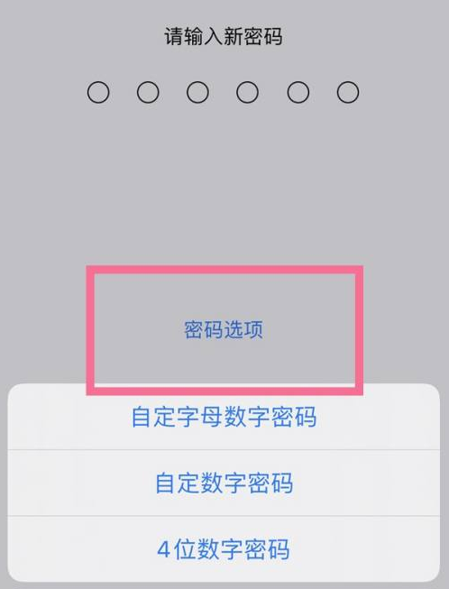 朔城苹果14维修分享iPhone 14plus设置密码的方法 