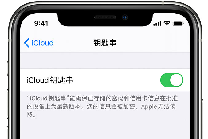 朔城苹果手机维修分享在 iPhone 上开启 iCloud 钥匙串之后会储存哪些信息 