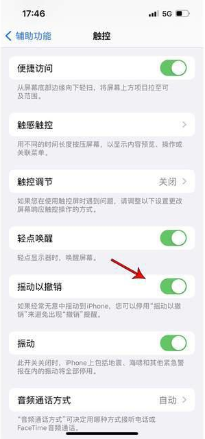 朔城苹果手机维修分享iPhone手机如何设置摇一摇删除文字 