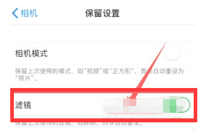 朔城苹果13维修分享iPhone13拍照有绿点是怎么回事 