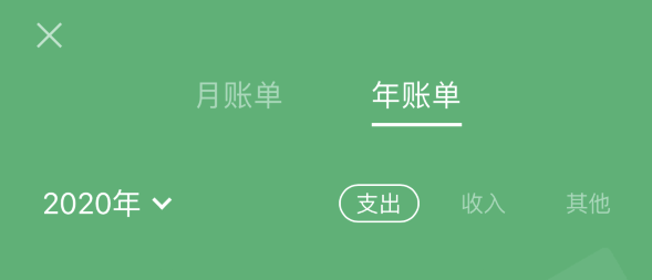朔城苹果手机维修分享如何在 iPhone 上查看支付宝和微信年支出账单 